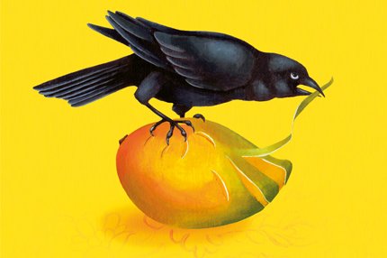 explodierende_mangos.qxp:explodierende mangos