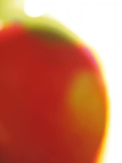 WHIT_MUCBOOK Gaffron Apfelkunst28-11-2005 182 WHIT_MUCBOOK Gaffron Apfelkunst28-11-2005 182