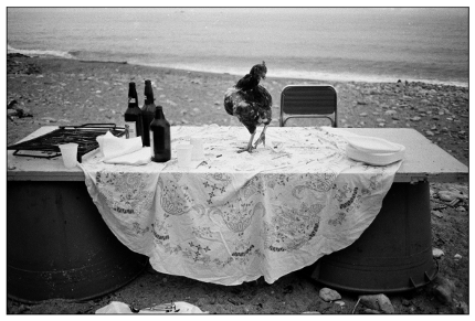 L_Battaglia_1986. Nella spiaggia dell' Arenella la festa è finita L_Battaglia_1986. Nella spiaggia dell' Arenella la festa è finita