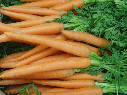 448569_R_K_B_by_M430 448569_R_K_B_by_M430