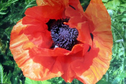 Feriengruppe_Medien_Planet_