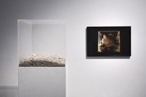 Julieta-Aranda Julieta-Aranda