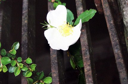 Kindertreff_Bogenhausen,_7-