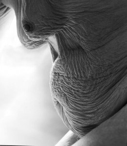 Lebensspuren,Nina, MÃ¼nchen 1991