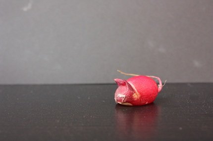 Radieschenmäuschen mucbook Radieschenmäuschen mucbook