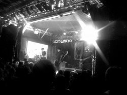 4Lyn, Backstage Halle