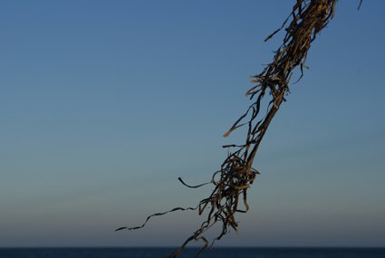 westendstudios 12_Sigrun Hohl westendstudios 12_Sigrun Hohl