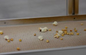 Michael Sailstorfer,Popcorn Förderband