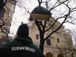 Baumhausappartement am Josephsplatz