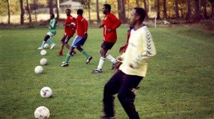 ElfSchwarzeMuesstIhrSein