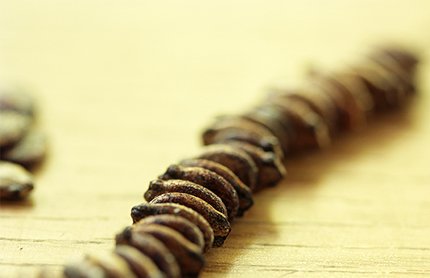 Kerne_aufgefädelt Kerne_aufgefädelt