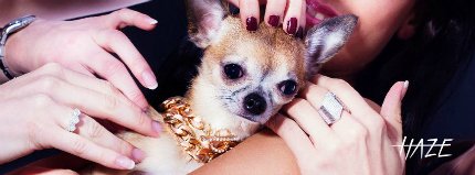 haze98530270_648811381_n