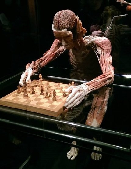 10264908_761157587252359_2514970560327214217_n 10264908_761157587252359_2514970560327214217_n