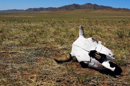 tumblr_inline_n5cyj16XMq1r30c7q tumblr_inline_n5cyj16XMq1r30c7q