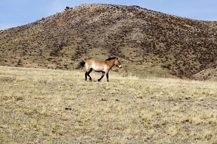 tumblr_inline_n5cyrz3BN71r30c7q tumblr_inline_n5cyrz3BN71r30c7q