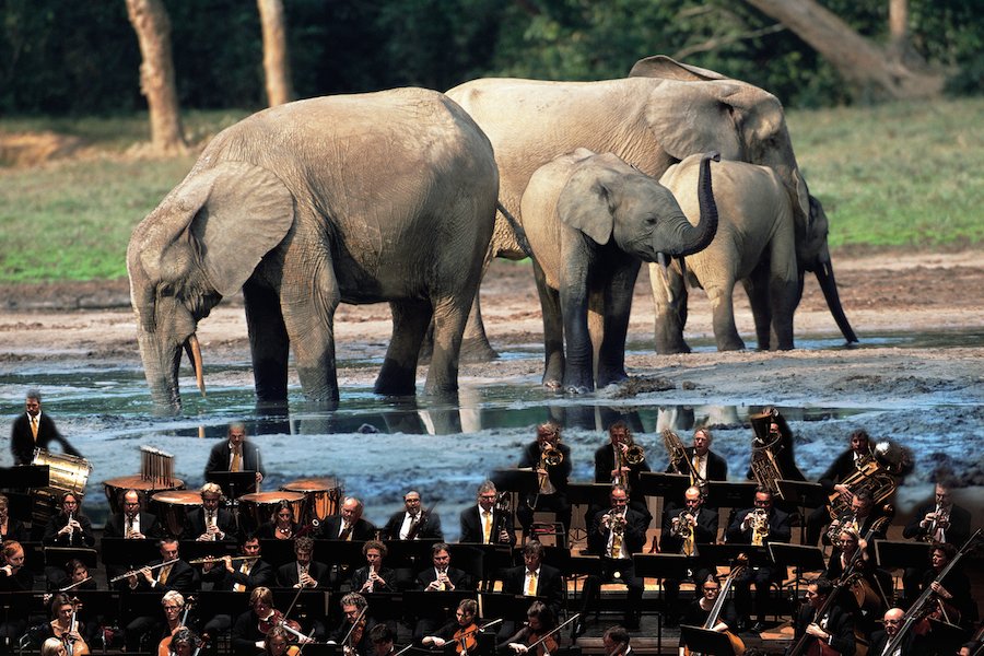 planet-erde-elefant-orchester-foto-martyn-colbeck-07
