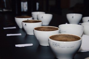 Mucbook: Cupping, Kaffee Tasting im Münchner Mahlefitz. Mehrere Tassen Kaffee