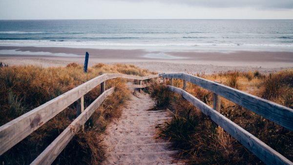 pexels-photo (1)