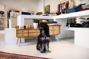 2016-01-deargoods-store-muenchen-schwabing-by-hannes-drensler_02