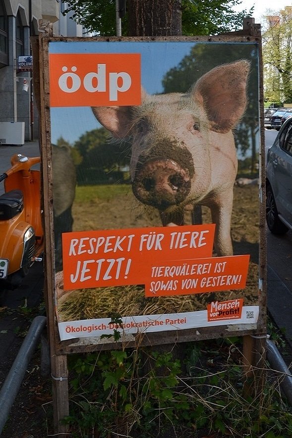 ödp