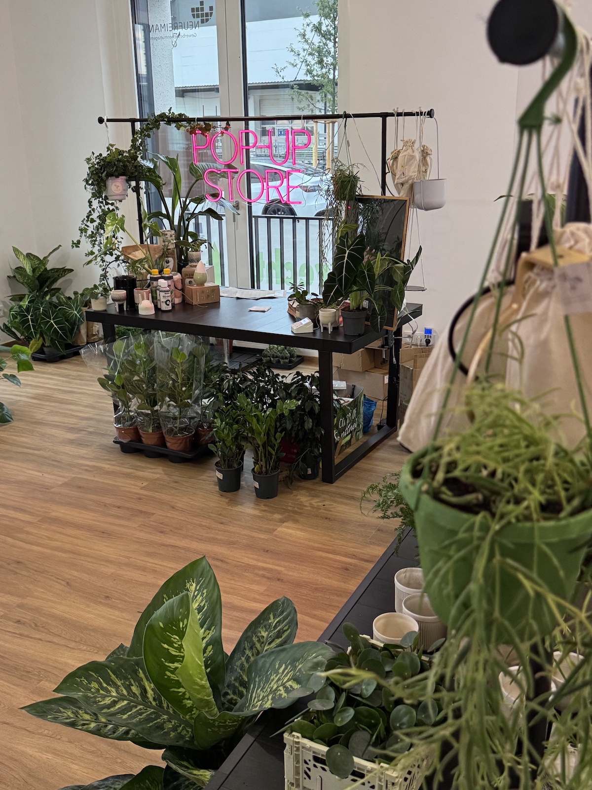 Pop-up-Store mit der Plantologie