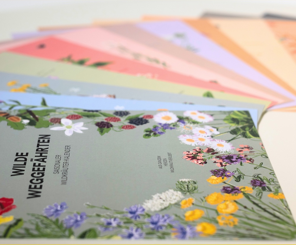 Saisonkalender von Wildkrautverliebt