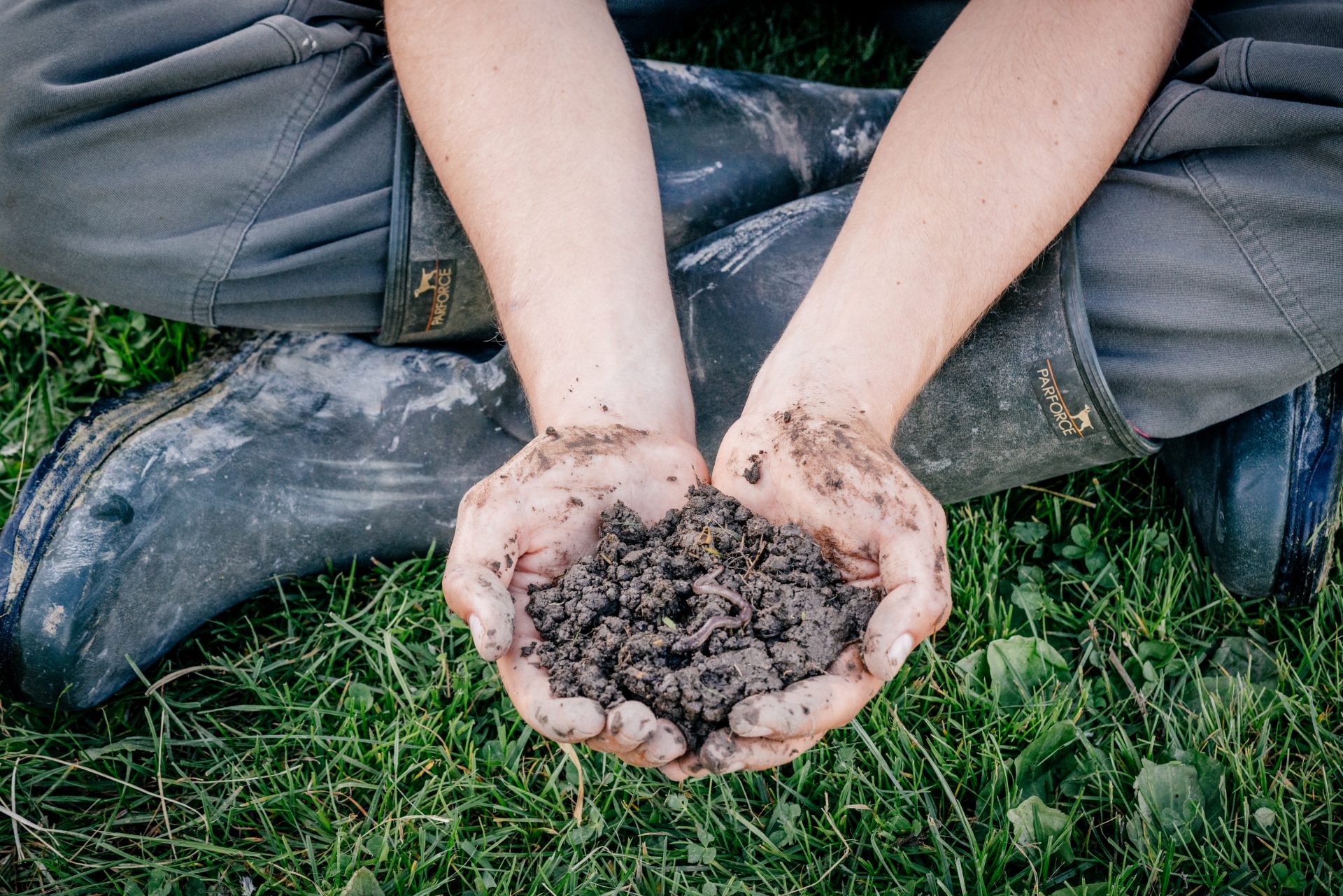 Nantesbuch ©ManfredJarisch