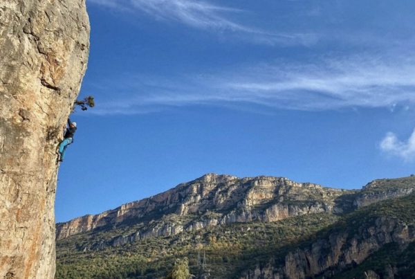 Foto: Robert Neumaier