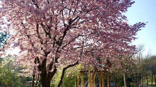 Foto: Marco Eisenack / Mucbook