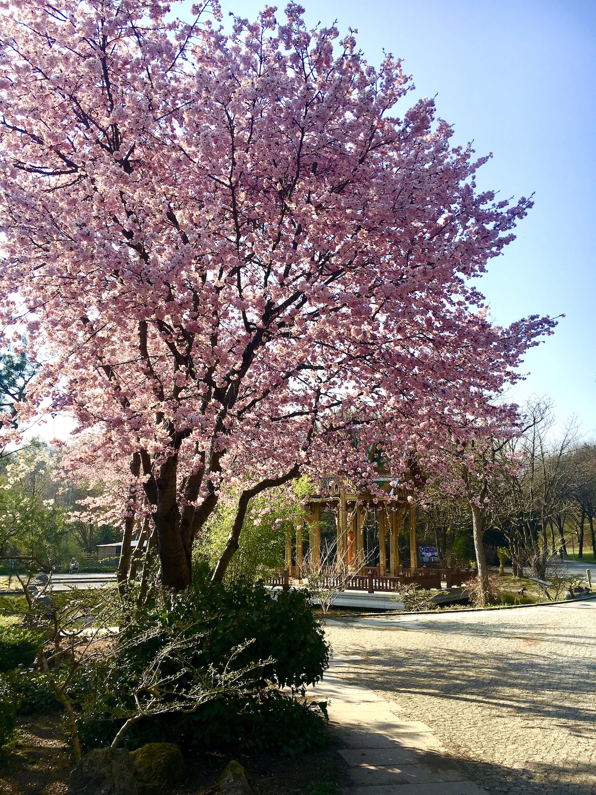 Foto: Marco Eisenack / Mucbook