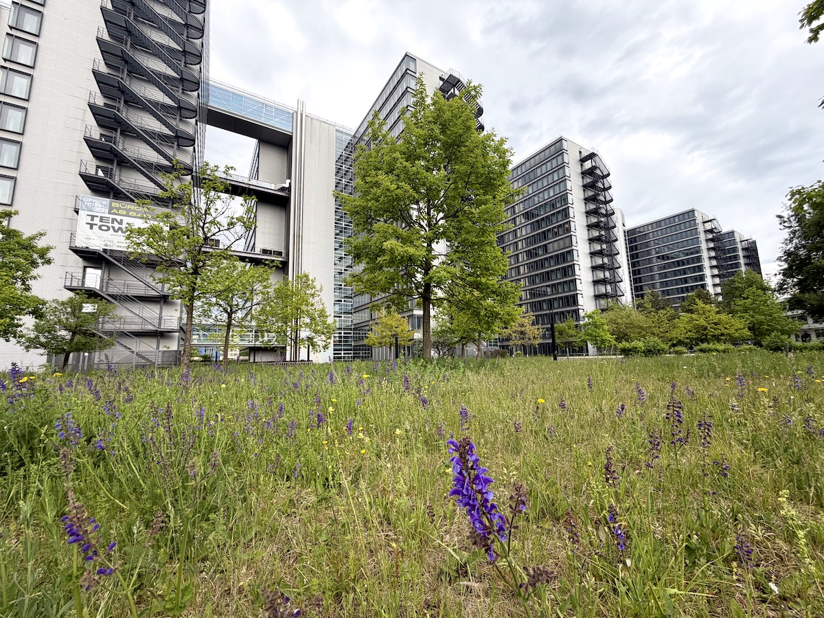 Wohnen im Büro – die Ten Towers